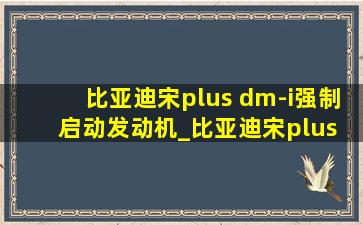 比亚迪宋plus dm-i强制启动发动机_比亚迪宋plus dm-i发动机强制启动